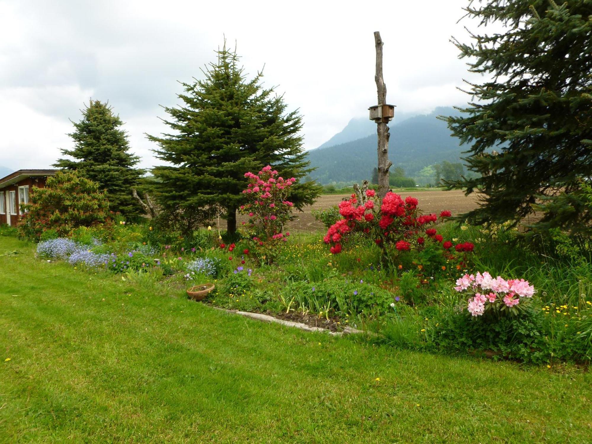 Harrison Hammond House Farmstay Harrison Mills 외부 사진