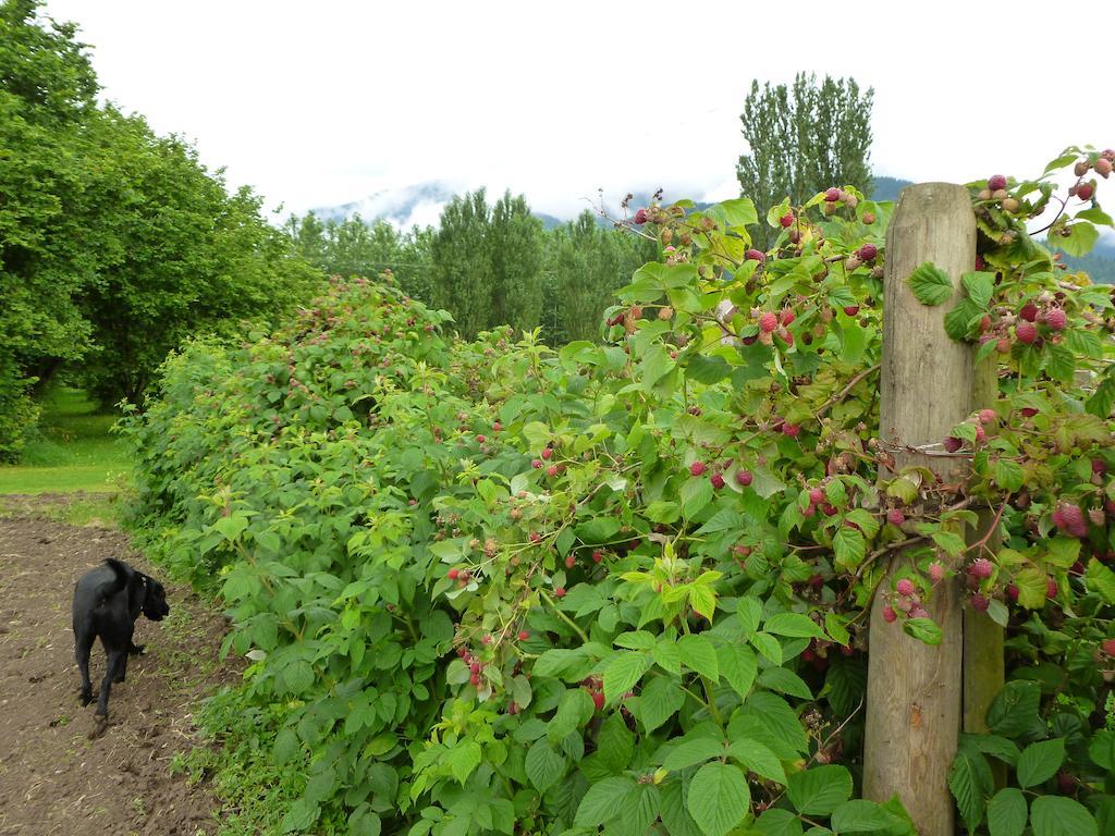 Harrison Hammond House Farmstay Harrison Mills 외부 사진