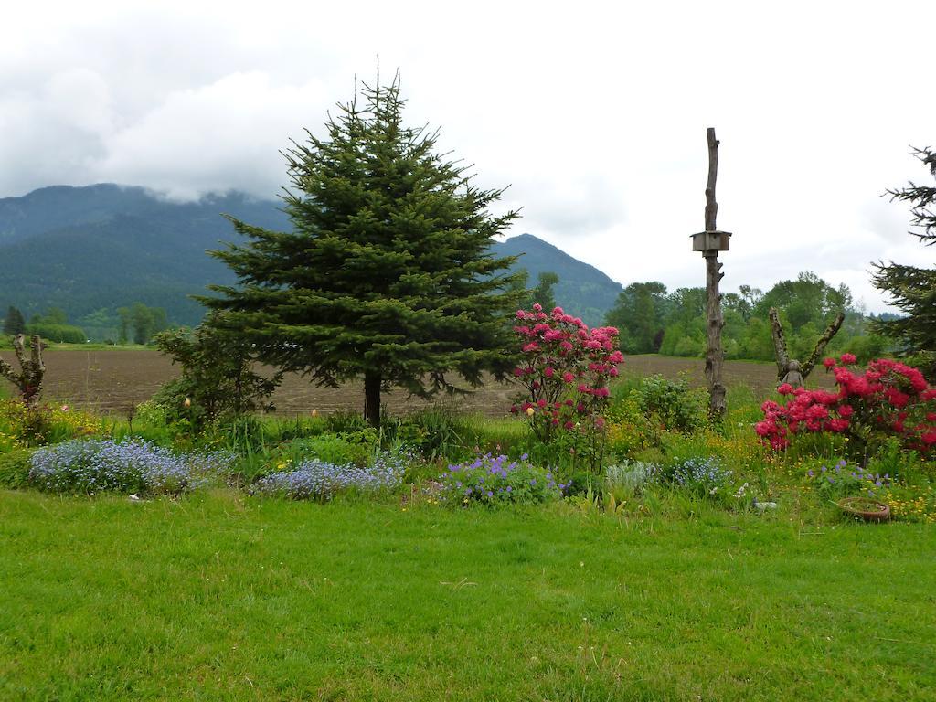 Harrison Hammond House Farmstay Harrison Mills 외부 사진